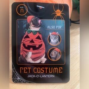 Jack-O-Lantern Pet Costume, Dog, Cat, Rabbit size Medium 2 piece NWT